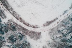 A snow-covered road that runs through the woods and fields in the countryside. photo
