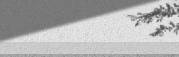 Concept of leaf shadow and light on gray cement surface. photo