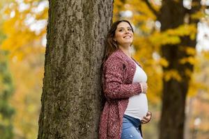 Young pregnant woman in the autumn park photo