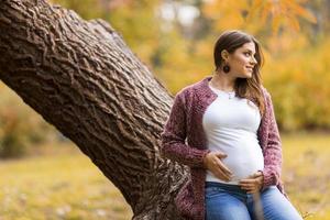 Young pregnant woman in the autumn park photo