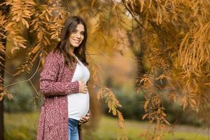 Young pregnant woman in the autumn park photo