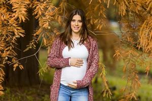 Young pregnant woman in the autumn park photo