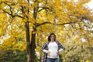 Pregnant woman in the autumn park photo