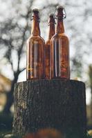 Glass bottles on wooden stack photo