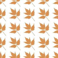 beautiful autumn pattern maple leaves can be used for posters banners backgrounds vector