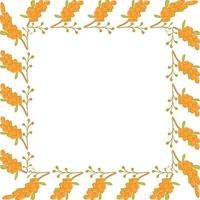 a square frame made of sea buckthorn branches for a poster of a postcard banner vector