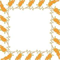 a square frame made of sea buckthorn branches for a poster of a postcard banner vector