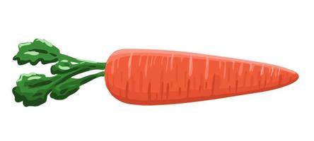 Carrot in cartoon style vector