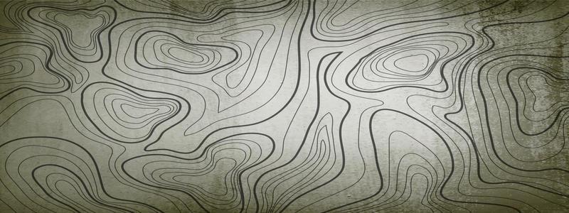 topographic line contour map background, geographic grid map