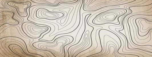 topographic line contour map background, geographic grid map vector