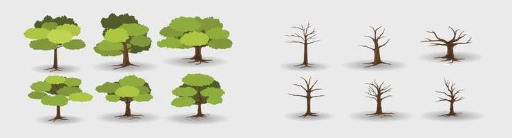 Object of trees with branches without leaves. With trees with branches and green leaves. on isolated white background. vector