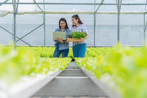 Asian woman farmer holding a vegetable basket of fresh vegetable salad on an organic farm and using a laptop to check customer order. Concept of agriculture organic for health, and Small business. photo