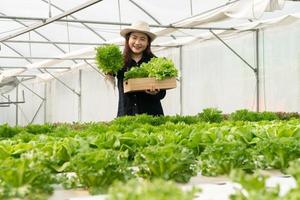 las agricultoras asiáticas cosechan verduras frescas para ensaladas en granjas de sistemas de plantas hidropónicas en el invernadero para el mercado. concepto de verduras frescas y alimentos saludables. comercio e industria agrícola. foto