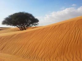 dunas de arena en el desierto foto