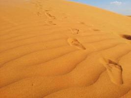 dunas de arena en el desierto foto