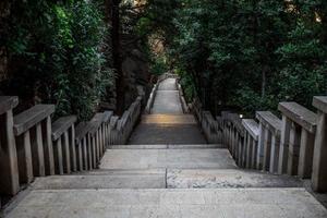 escalera de piedra pasarela naturaleza foto