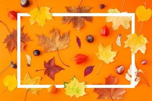 Dry autumn leaves as a frame template photo