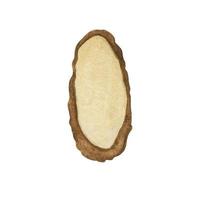Single element watercolor drawn oval sections of tree trunks. Illustration is watercolor.  Wooden texture without rings and cracks. On a white background. photo