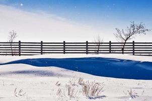 hermoso parque paisajístico de invierno. nieve blanca, cielo azul. turismo, afición. foto