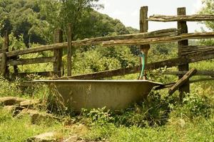 An old bathub outdoors, recycled as a drinking trough for cattle in the countryside, in a beautiful natural landscape of greenery, on a sunny day photo