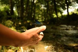 Closeup of a blue dragonfly on a woman hand in front of a bokeh background of greenery, trees and a flowing stream, on a sunny day photo