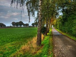 tiempo de otoño en westfalia foto