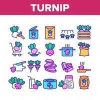 Turnip Agricultural Vegetable Icons Set Vector
