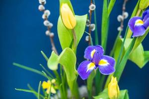 An elegant floral spring, Easter composition of irises, tulips, daffodils and willow twigs located on a table located against a blue wall in daylight. photo