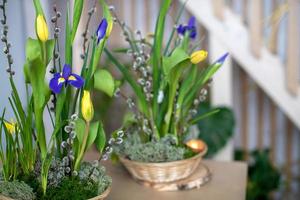 primavera elegante, arreglo floral de pascua de narcisos, colocados sobre la mesa a la luz del día en casa. foto