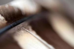 Brown Feather on blur background photo