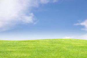 Background image of lush grass field under blue sky and cloud on clear day. photo