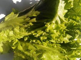 high view of lettuce isolated on a white background photo