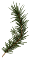 elemento de navidad acuarela png