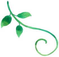 groene blad aquarel png