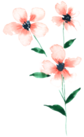 élément de fleur fleur de mariage aquarelle png