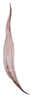 aquarelle élément feuille png