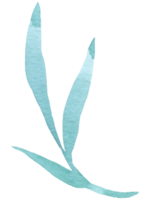 Green Leaf Element watercolor png