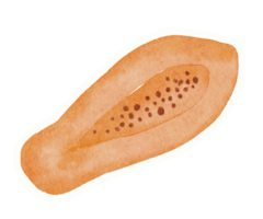 sommar akvarell element klistermärke png