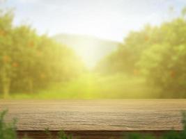 Empty wooden table with more space than orange trees, orange field background for product display montage photo