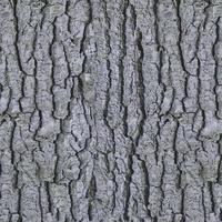 old wooden background, wooden table or floor. 3d render photo