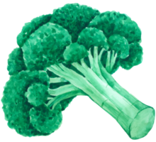 vegetabilisk akvarell handfärg png