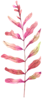 aquarelle de feuilles d'automne png