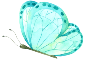 Butterfly watercolor hand paint png