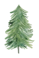 weihnachtselement aquarell png