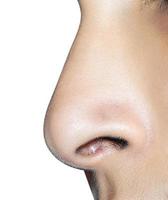 close up shot of woman nose photo