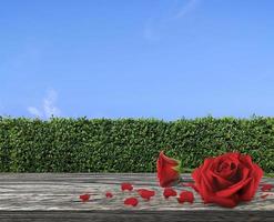 rosas rojas y pétalos de rosa en la terraza de la mesa de madera con textura de pared de hierba verde y cielo azul brillante foto