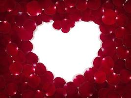 Heart of red rose petals isolated on white background photo