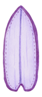 surfplank zomer aquarel png