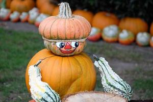 calabazas en el muensterland alemán foto