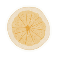 sommeraquarellelementaufkleber png